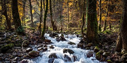 آلش‌دشت گیلان در واپسین روزهای پاییز