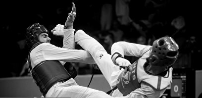 لیگ برتر تکواندو