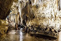 دانشمندان:انسان ها۳هزار سال پیش روان‌گردان استفاده می‌کردند!