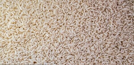  بازداشت چند مدیر مرتبط با پرونده «برنج آلوده بندرعباس»؛ شب‌مانی در بازداشتگاه