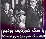 روایت هویدا از وضعیت کرج در دوره پهلوی؛ بازخوانی یک اظهارنظر تاریخی