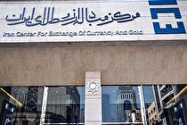 دو سوم ارز واردات کالاهای اساسی تامین شد