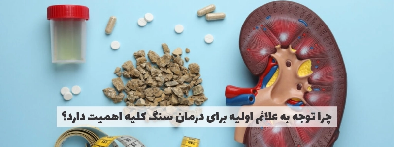 نشانههایی که میتواند خبر از وجود سنگ کلیه بدهد نشانههایی که میتواند خبر از وجود سنگ کلیه بدهد