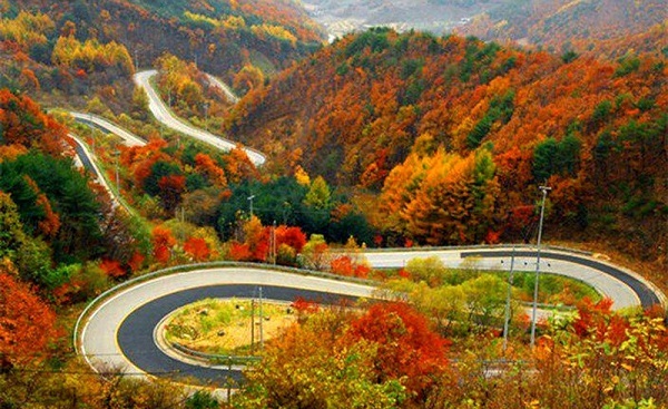 راهنمای جامع گردشگری استان البرز؛ از جاذبه‌های دیدنی تا سوغات و غذاهای محلی
