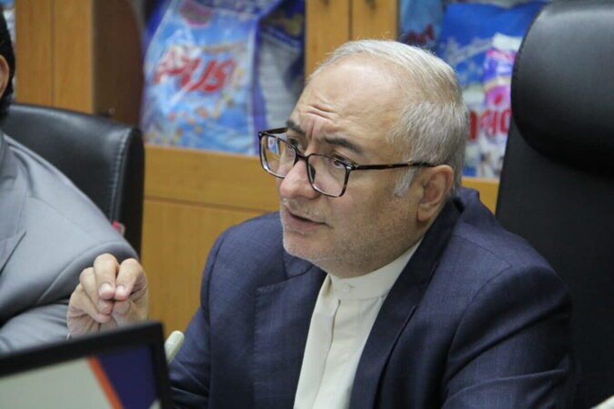 رسالت گروه، حمایت و تسهیل امور شرکت‌های زیرمجموعه است