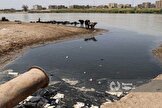 فاضلاب خطرناک اردبیل به رود 
