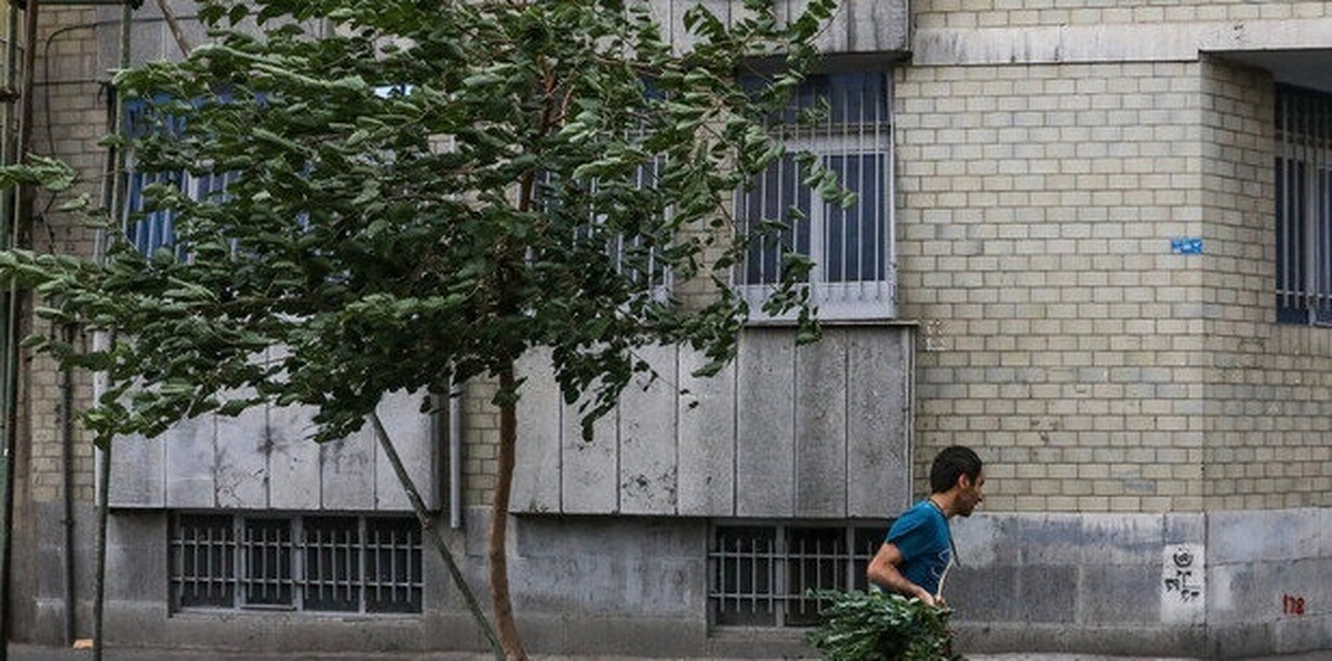 هشدار زرد رنگ فعالیت سامانه بارشی و وزش باد شدید در تهران