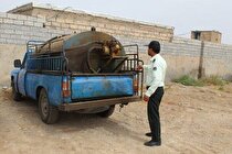 توقیف ۳۷ خودرو و بازداشت ۱۷ متهم مرتبط با قاچاق سوخت