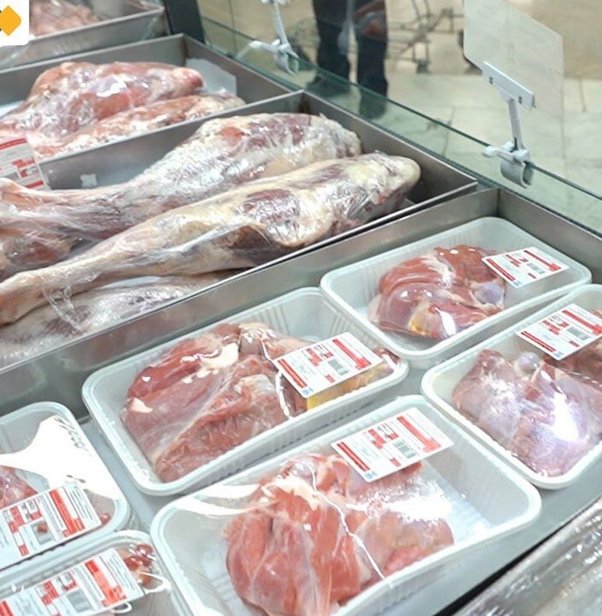 افزایش عرضۀ گوشت تنظیم بازاری در فروشگاه‌ها