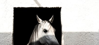 مسابقات لیگ ملی چوگان در اصفهان