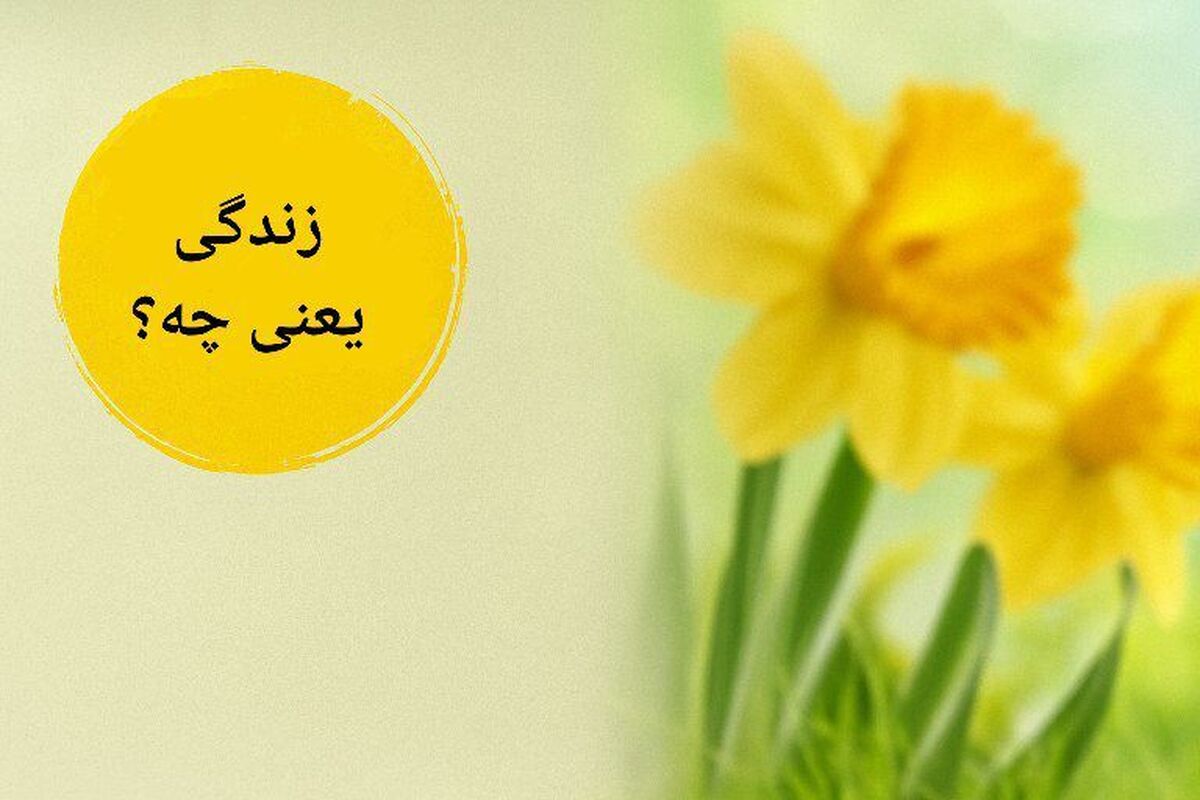 «زندگی یعنی چه؟»؛ نگاهی شاعرانه به معنا و لحظه‌های ناب زیستن از کیوان شاهبداغی