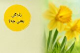 «زندگی یعنی چه؟»؛ نگاهی شاعرانه به معنا و لحظه‌های ناب زیستن از کیوان شاهبداغی