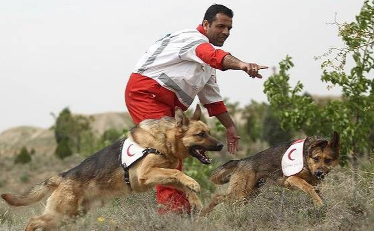 حضور موثر 