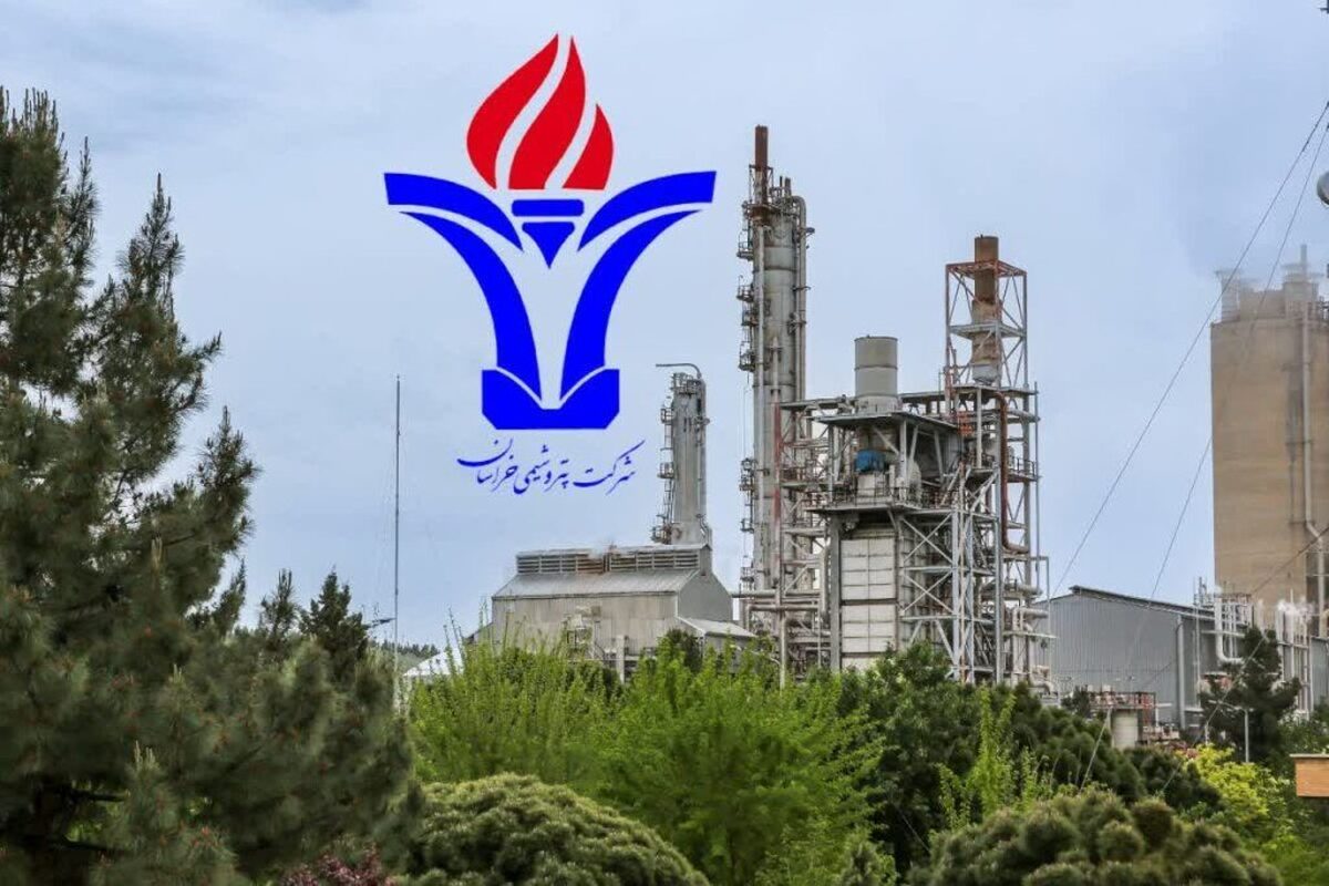 پتروشیمی خراسان  برای سال مالی ۱۴۰۳ بازده نقدی قابل‌توجهی را در دستور پرداخت قرار داد