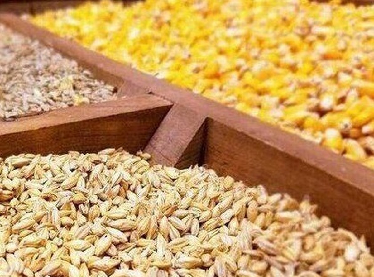 کمبودی در تأمین نهاده‌های دامی نداریم