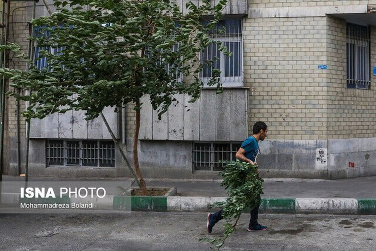 تداوم باد و گرد و خاک و رگبار در تهران