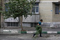 تداوم باد و گرد و خاک و رگبار در تهران