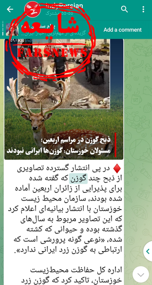ذبح گوزن زرد ایرانی در مراسم اربعین دروغ معاندین بود