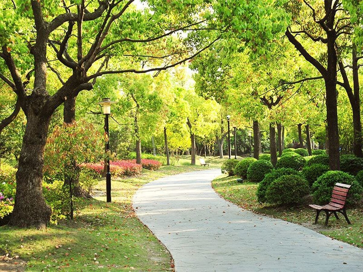 نمی‌گذاریم بوستانی بدون آب بماند.