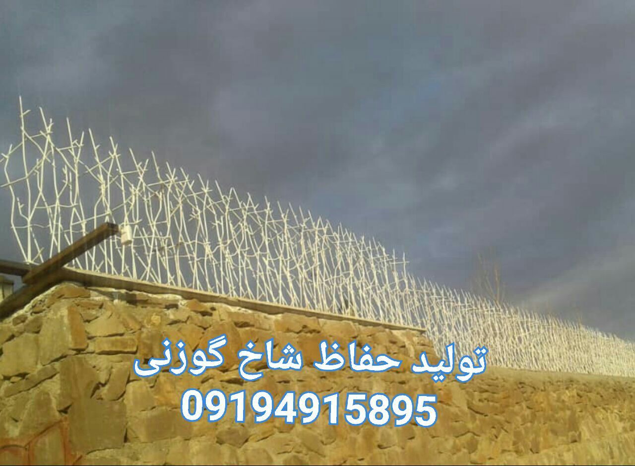 حفاظ شاخ گوزنی: گاردِ تسخیرناپذیرِ طبیعت، در خدمتِ امنیتِ خانه‌یِ شما؛ آشناییِ کامل با شاهکارِ امنیتِ نوین