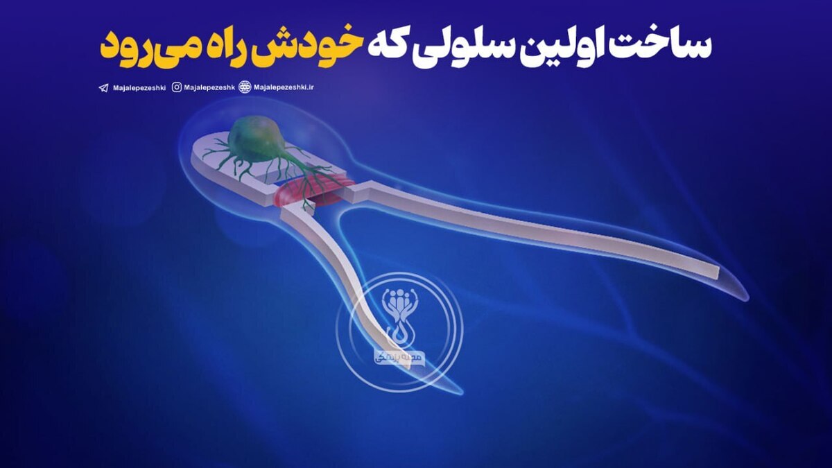 ساخت اولین سلولی که خودش راه می‌رود