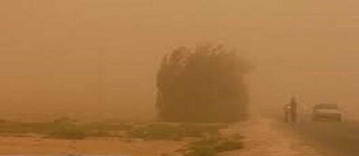 وزش باد ۱۱۵ کیلومتری زابل را درنوردید