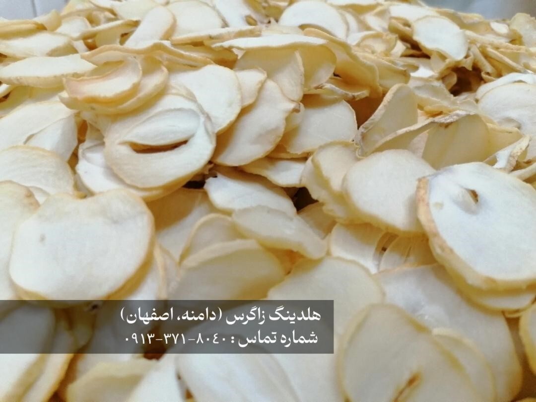 خرید موسیر کوهی هلدینگ زاگرس : گنجینه پنهان کوهستان و دشت