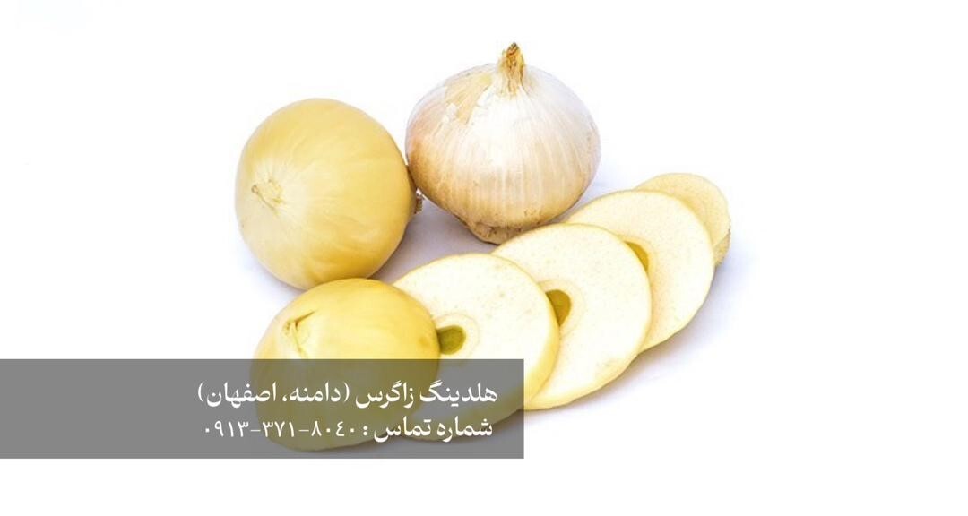 خرید موسیر کوهی هلدینگ زاگرس : گنجینه پنهان کوهستان و دشت