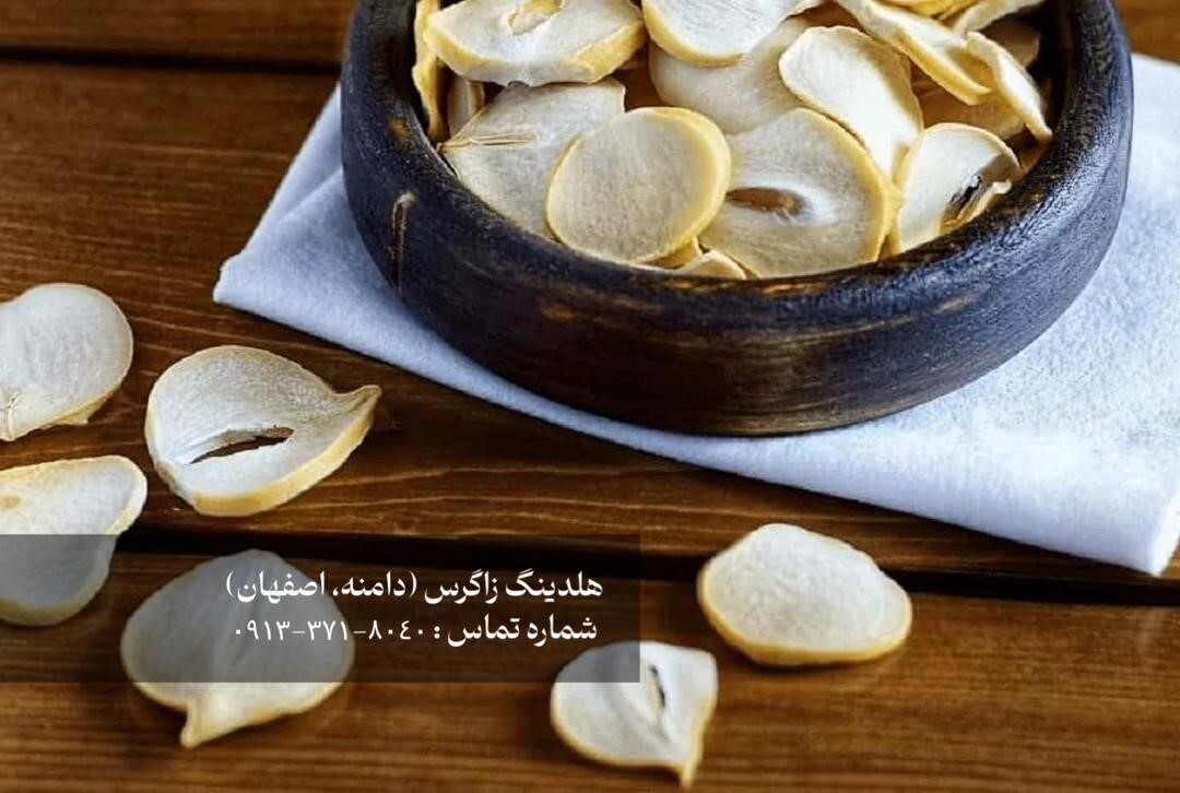 خرید موسیر کوهی هلدینگ زاگرس : گنجینه پنهان کوهستان و دشت