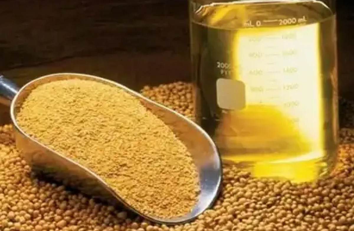 آغاز ثبت سفارش جدید واردات روغن خام از فردا