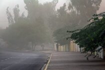 تداوم وزش باد در تهران/ افزایش نسبی دما طی جمعه