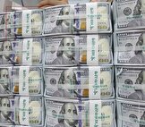 افشای راز ۲۰ میلیارد دلاری که در سال گذشته به اقتصاد برنگشت