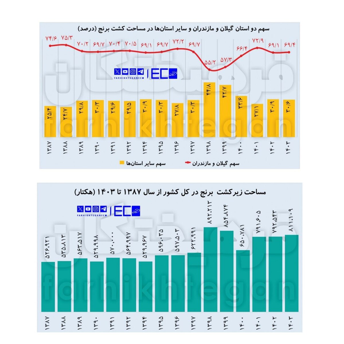  ۳۰ درصد برنج در استان‌های کم‌آب تولید می‌شود
