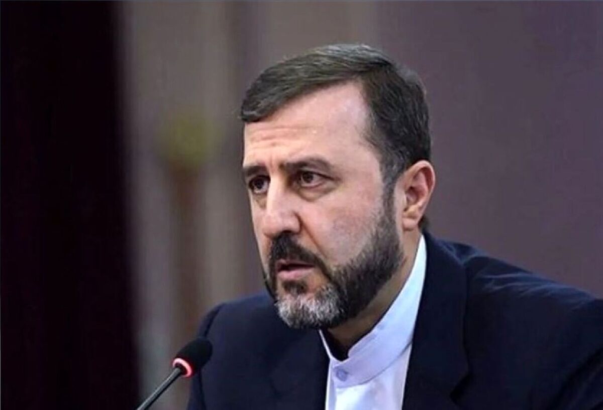فعالسازی «اسنپ‌بک» تعامل ایران با آژانس را تحت تاثیر قرار خواهد داد