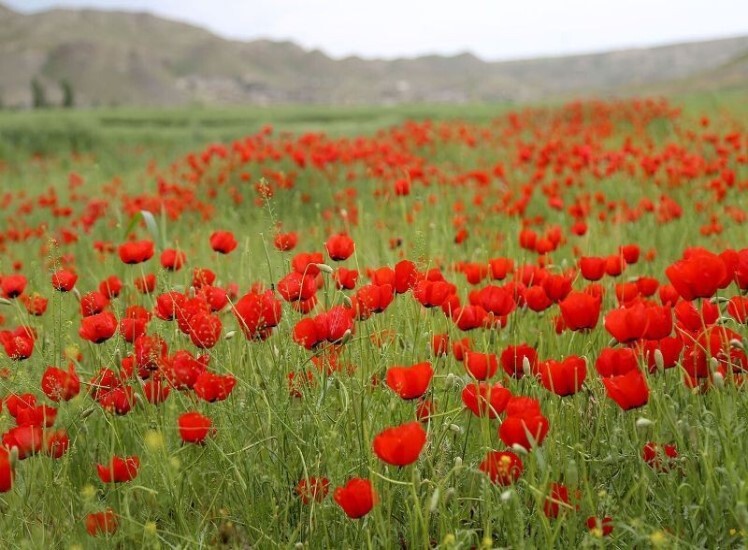بهترین جاذبه‌های گردشگری شهریار برای تجربه‌ای به‌یادماندنی
