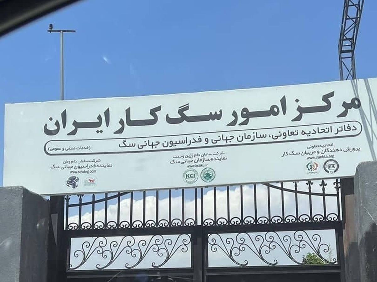ابهام در مجوزها و هویت یک مجموعه سگ‌محور در کرج؛ مطالبه برای نظارت فوری