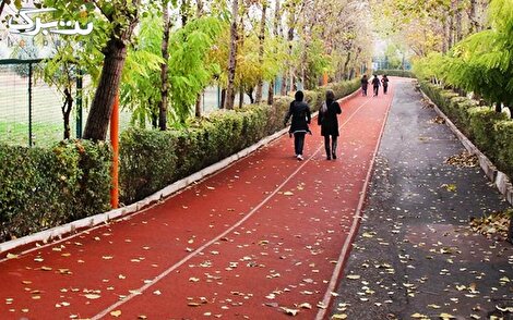 از باشگاه «انقلاب» تا «انحراف»: ورزش یا ویترینِ بی‌حجابی پنهان؟