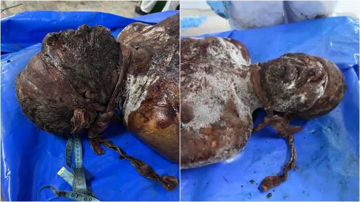 بازگشته از شکنجه‌گاه صهیونیست‌ها؛ افشای سندی تازه از وحشی‌گری صهیونیست‌ها علیه مردم فلسطین! 