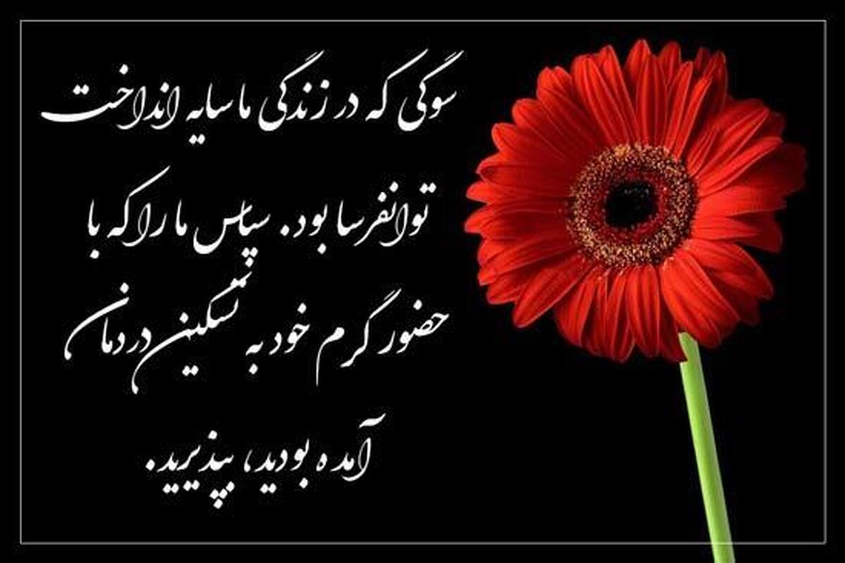 پیام قدردانی  محمدسجاد فهمیده: همراهی شما، مرهمی بر زخم دل داغدیده ما بود