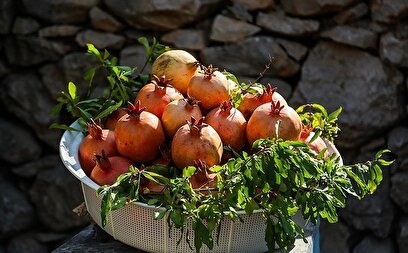 سومین جشنواره انار در شهرستان دزپارت