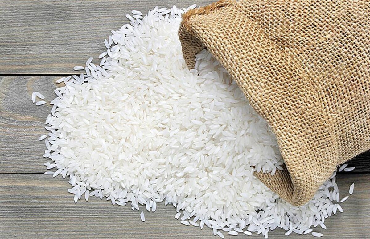 ترخیص برنج در فصل برداشت بار دیگر آزاد شد