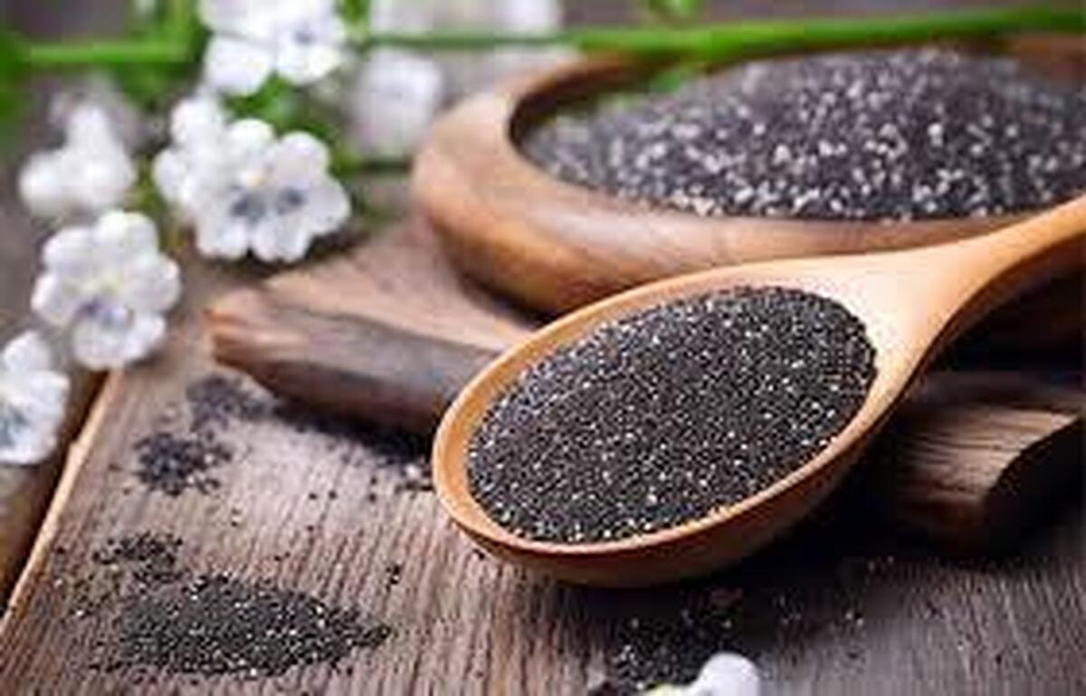 واردات ۷۷۸ تن تخم‌شربتی در ۱۵۰ روز نخست امسال