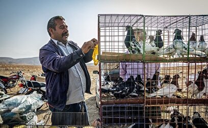 بازار پرنده‌فروشان بجنورد