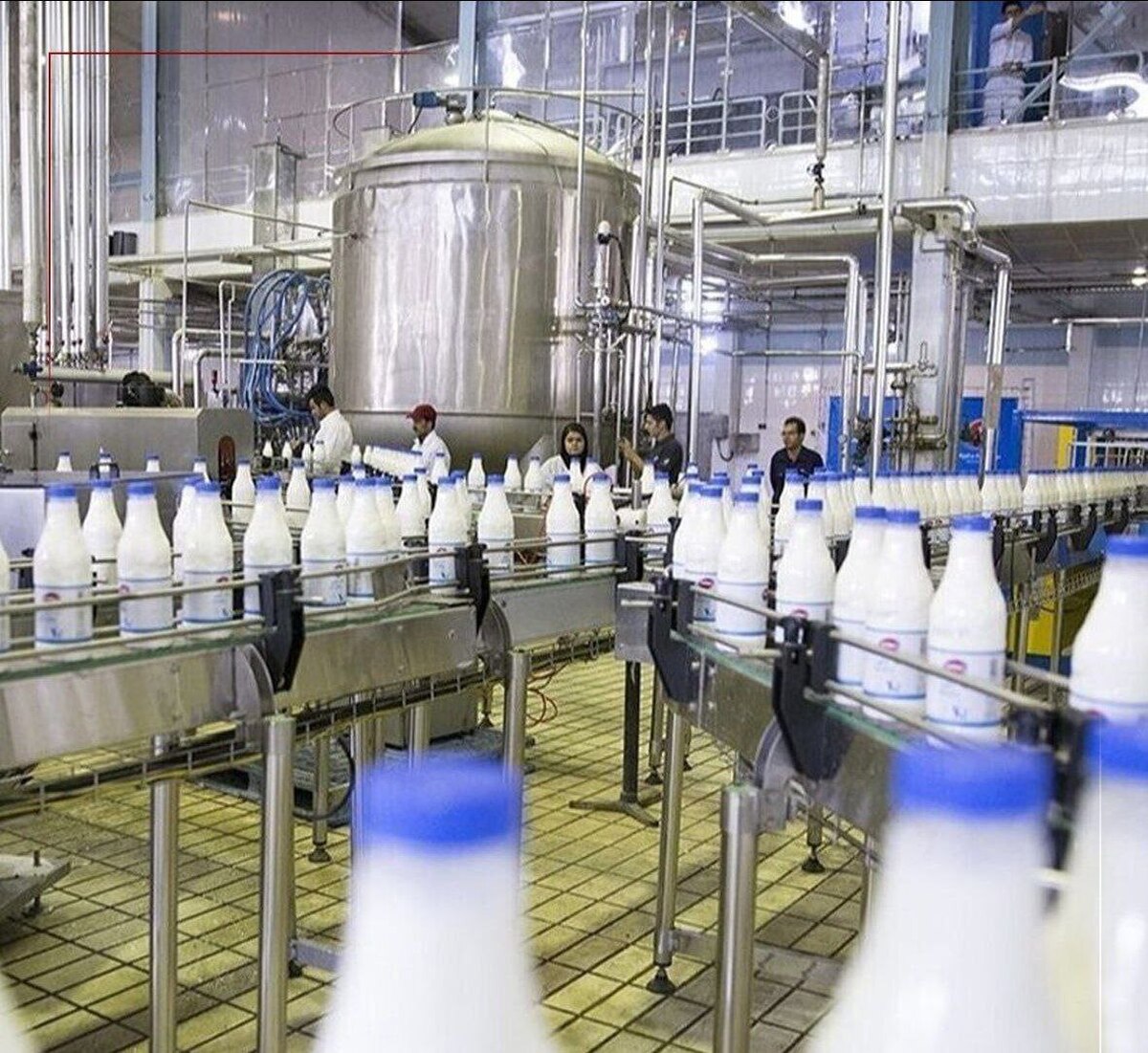 قیمت لبنیات در دو هفته گذشته دو بار افزایش یافت