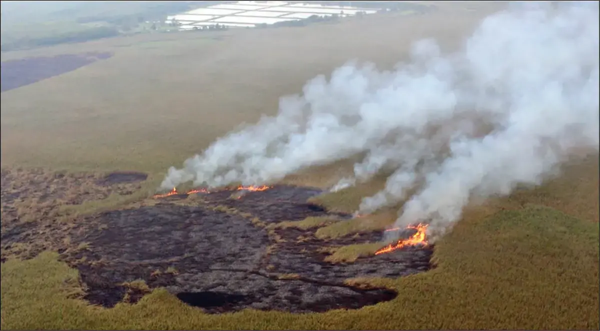 بارندگی تنها راه کنترل آتش‌سوزی در هورُالعظیم