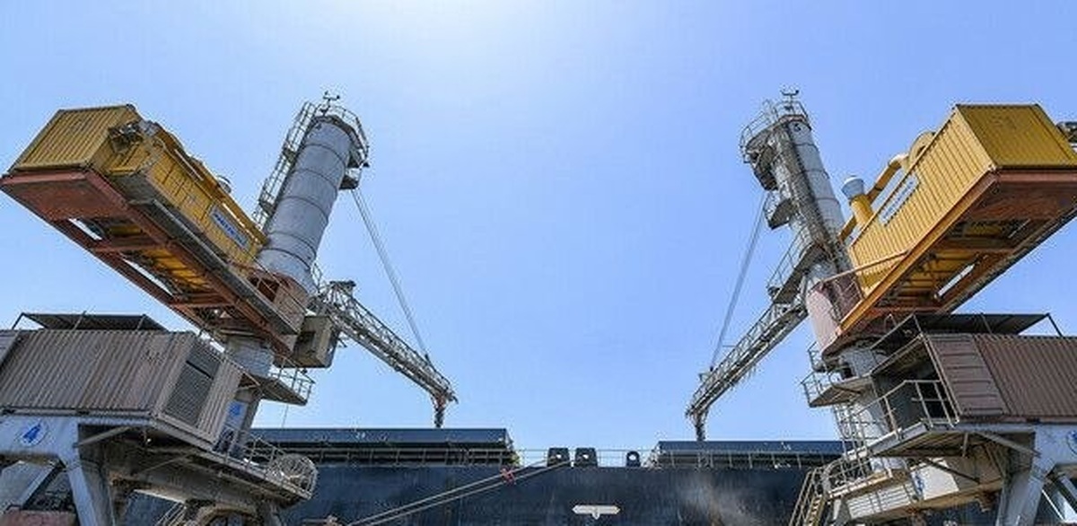 فریاد مرغداران شنیده شد؛ تخصیص ۷۰هزار تن ذرت طی ۲۴ساعت آینده