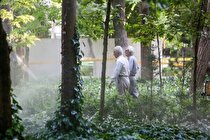 اشتغال بازنشستگان در تاکسی‌های اینترنتی قانونی می‌شود