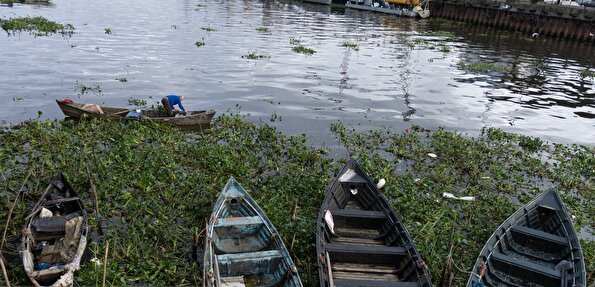 خانه‌ای روی آب؛ روایت یک زندگی