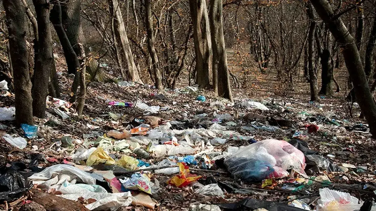 بحران پلاستیک تهدیدی مخرب برای سلامت انسان و حیات وحش بحران پلاستیک تهدیدی مخرب برای سلامت انسان و حیات وحش