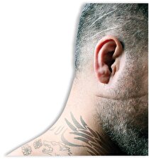 شرخر ها در فضای مجازی جولان می دهند شرخر ها در فضای مجازی جولان می دهند